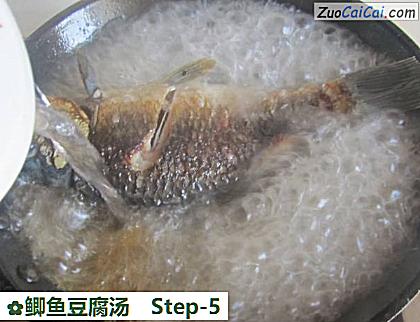 鲫鱼豆腐汤做法第五步骤