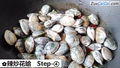 辣炒花蛤做法第四步骤
