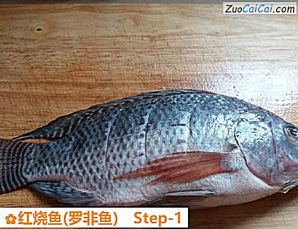 红烧鱼做法第一步骤