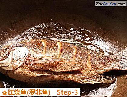 红烧鱼做法第三步骤