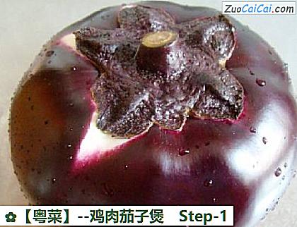 鸡肉茄子煲做法第一步骤