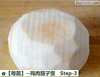 鸡肉茄子煲做法第三步骤