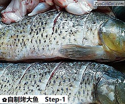 自制烤大鱼做法第一步骤