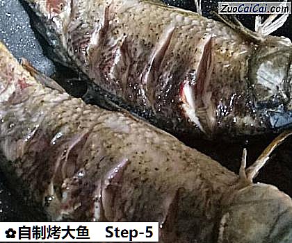 自制烤大鱼做法第五步骤