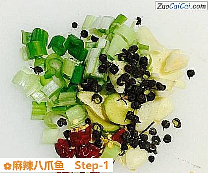 麻辣八爪鱼做法第一步骤