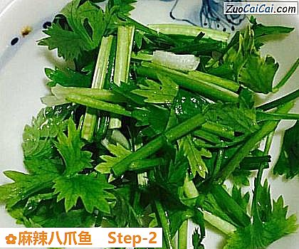 麻辣八爪鱼做法第二步骤