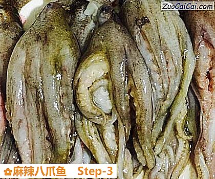 麻辣八爪鱼做法第三步骤