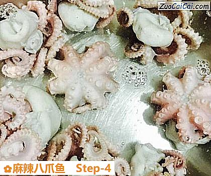 麻辣八爪鱼做法第四步骤