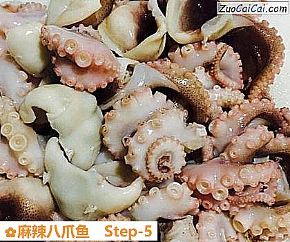 麻辣八爪鱼做法第五步骤