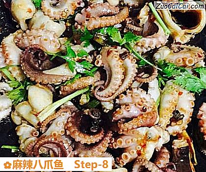 麻辣八爪鱼做法第八步骤