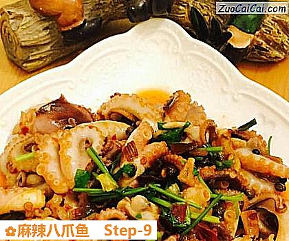 麻辣八爪鱼做法第九步骤