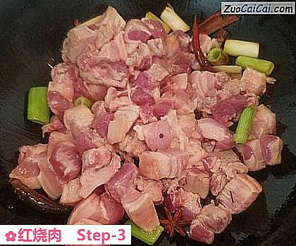 红烧肉做法第三步骤