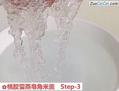 桃胶雪燕皂角米羹做法第三步骤