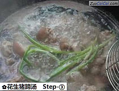 花生猪蹄汤做法第三步骤