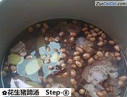 花生猪蹄汤做法第八步骤