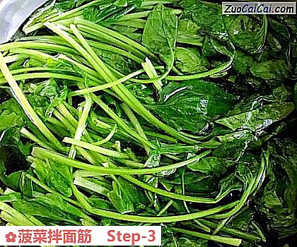 菠菜拌面筋做法第三步骤