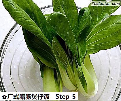 广式腊肠煲仔饭做法第五步骤