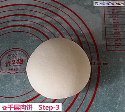 千层肉饼做法第三步骤
