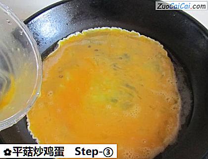 平菇炒鸡蛋做法第三步骤