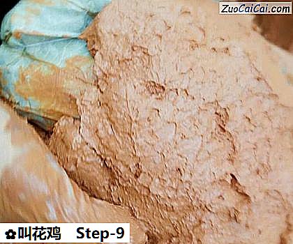 叫花鸡做法第九步骤