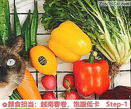 颜食担当：越南春卷，饱腹低卡做法第一步骤