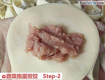 蔬菜抱蛋煎饺做法第二步骤