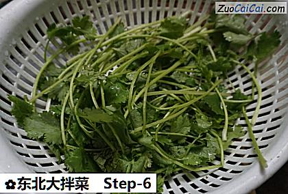 东北大拌菜做法第六步骤