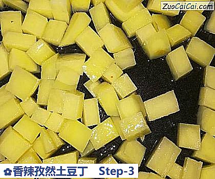 香辣孜然土豆丁做法第三步骤