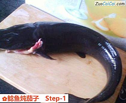 鲶鱼炖茄子做法第一步骤