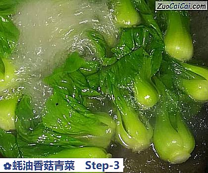 蚝油香菇青菜做法第三步骤