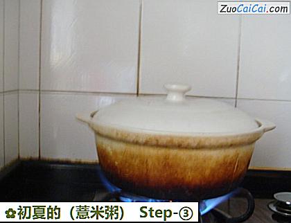 初夏的做法第三步骤