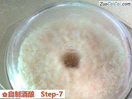 自制酒酿做法第七步骤