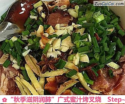 “秋季滋阴润肺”广式蜜汁烤叉烧做法第四步骤