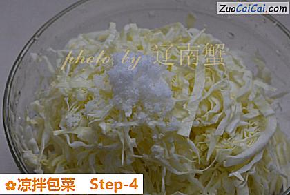 凉拌包菜做法第四步骤