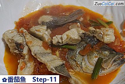 番茄鱼做法第十一步骤