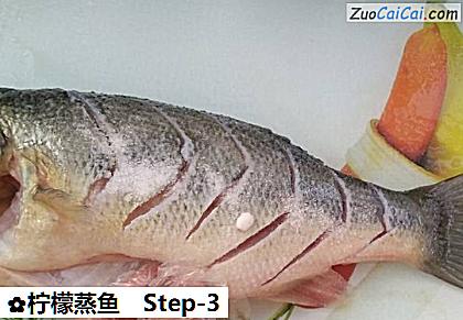 柠檬蒸鱼做法第三步骤