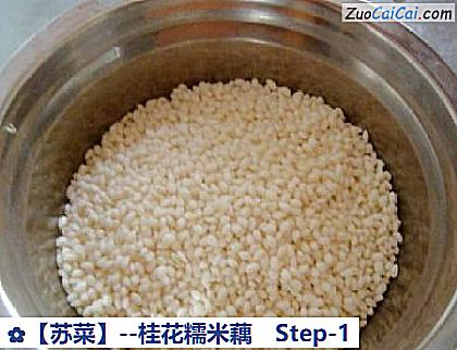 桂花糯米藕做法第一步骤