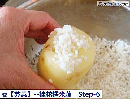 桂花糯米藕做法第六步骤