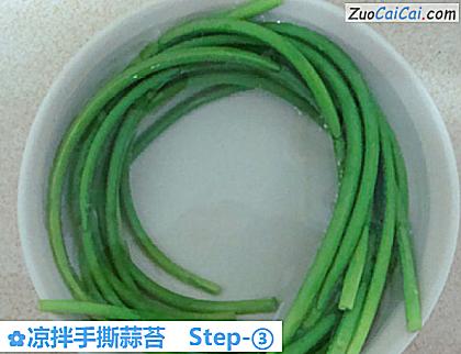 凉拌手撕蒜苔做法第三步骤
