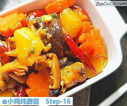 小鸡炖蘑菇做法第十六步骤