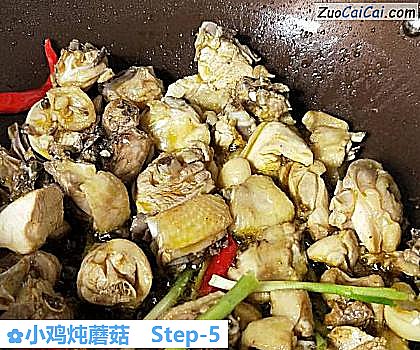 小鸡炖蘑菇做法第五步骤
