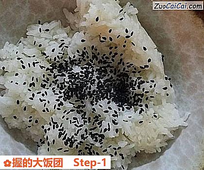 握的大饭团做法第一步骤