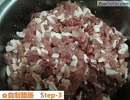 自制腊肠做法第三步骤