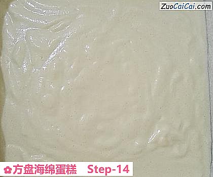方盘海绵蛋糕做法第十四步骤