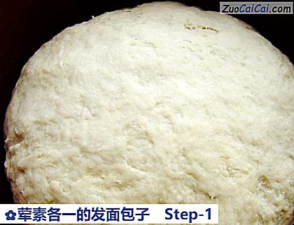 荤素各一的发面包子做法第一步骤
