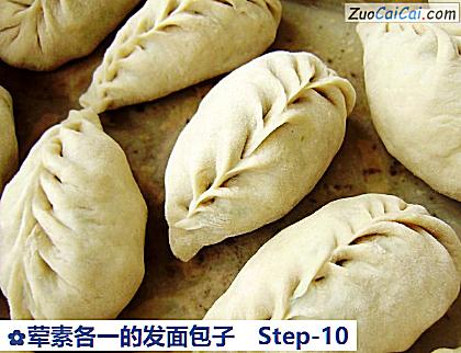 荤素各一的发面包子做法第十步骤