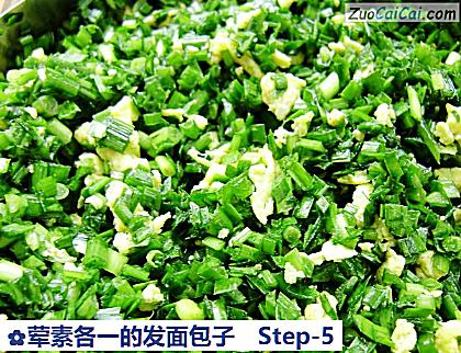 荤素各一的发面包子做法第五步骤