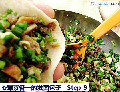 荤素各一的发面包子做法第九步骤