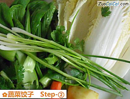 蔬菜饺子做法第二步骤
