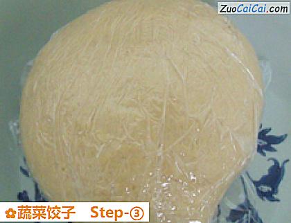 蔬菜饺子做法第三步骤